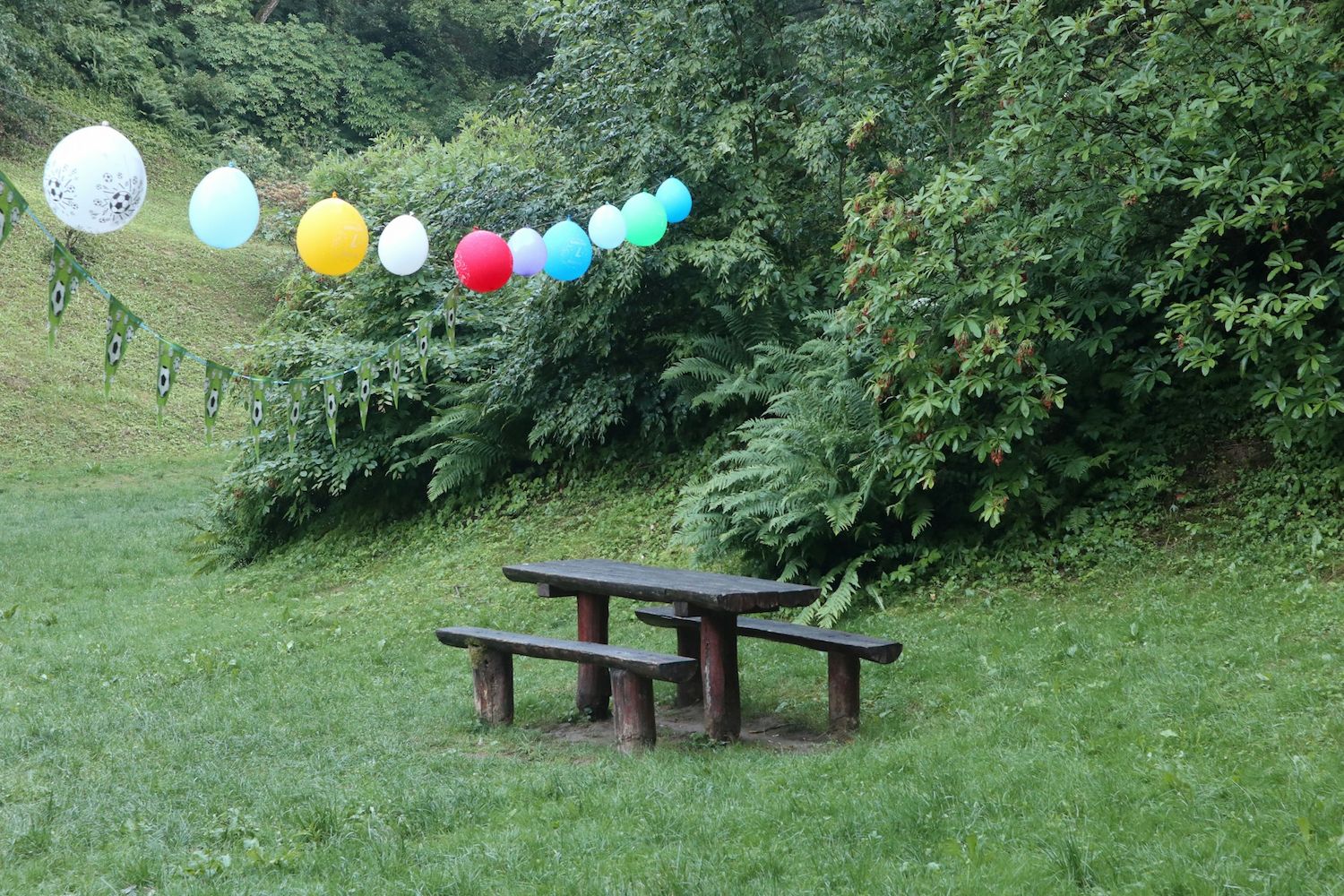 organisation anniversaire proche angers (1)