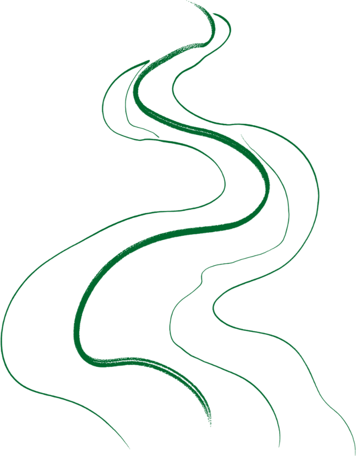 vecteur riviere verte